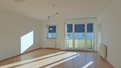 große 1-Zimmer-Wohnung mit Balkon und separater Küche mit Fenster, Aufzug und Laminatböden